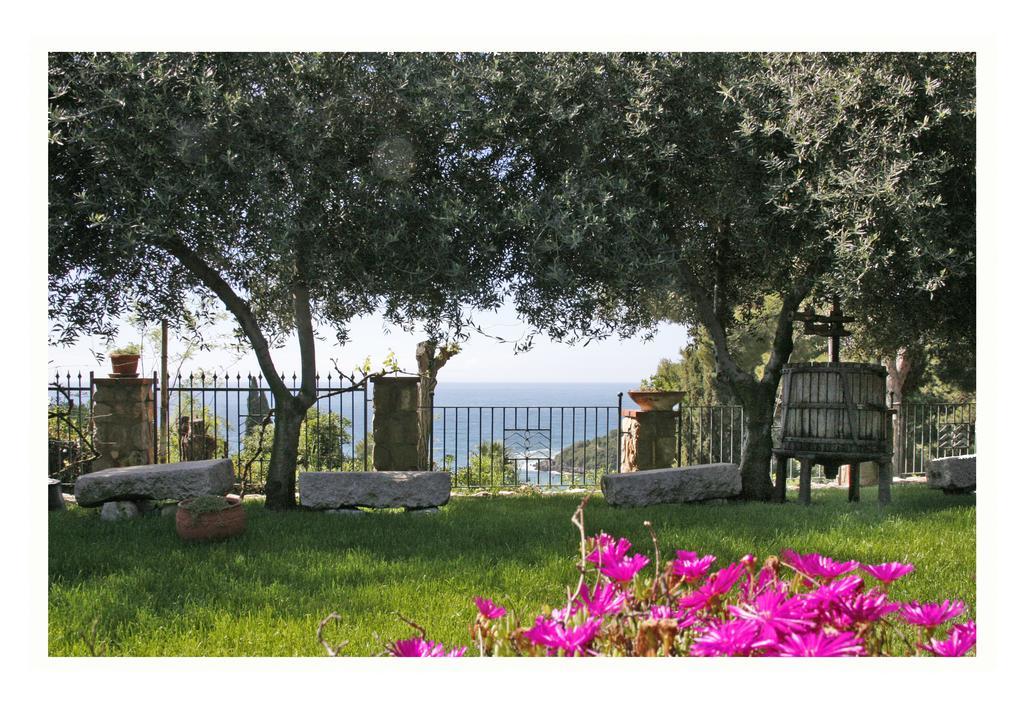 Villa Michela Tra Cielo E Mare Gaeta Rum bild